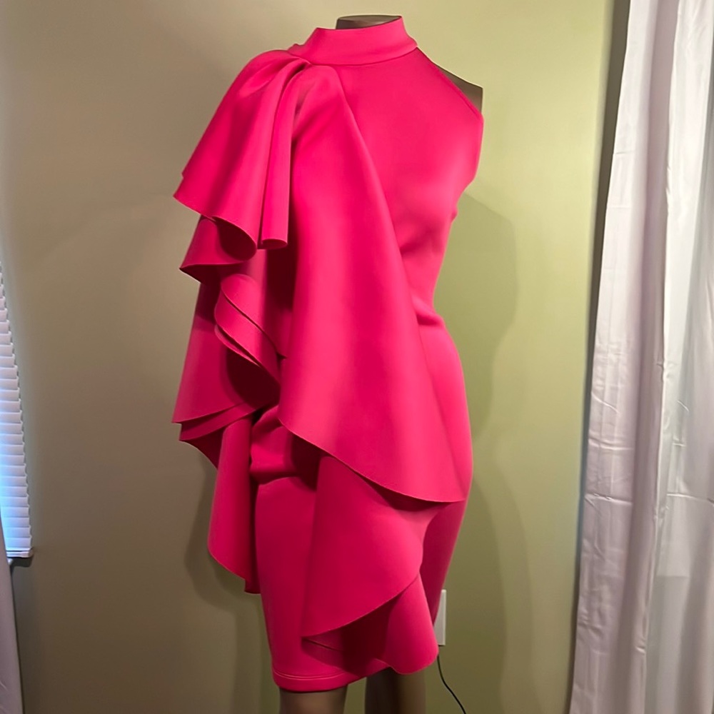 Form Fitting Cocktail Dress